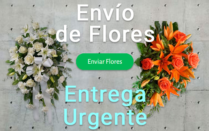 Envio de flores urgente a Tanatorio Santa Coloma